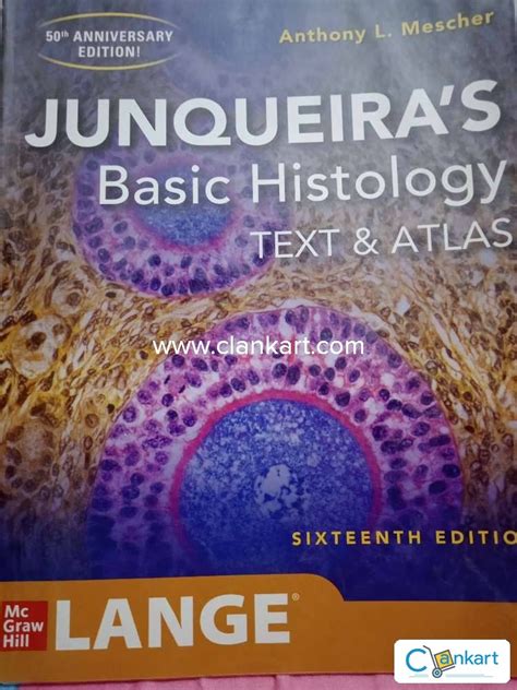 Junqueira's Basic Histology: Text And Atlas Sixteenth Edition
