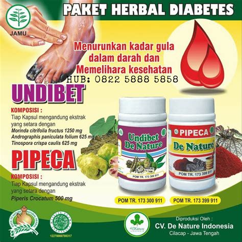 Jurnal Obat Herbal untuk Diabetes: Penelitian tentang Manfaat Akupresur untuk Pengobatan Diabetes