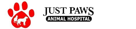 Discover Expert Care for Your Furry Friends at Just Paws Animal Hospital - Trusted Veterinary Services in [Location]