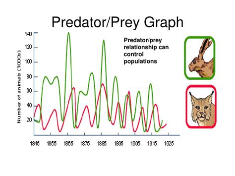 Justify Why The Predator/Prey Relationship Is A Community Level Interaction.