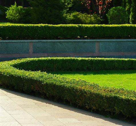 K D Janni Landscaping