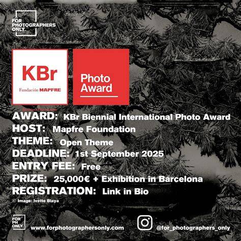 KBr Mapfre Foundation Ticket