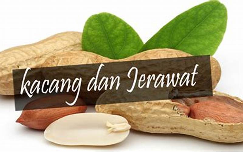 Kacang Dan Jerawat: Apakah Kacang Penyebab Jerawat?