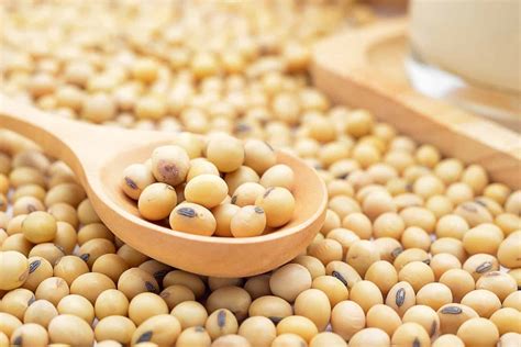 Kacang