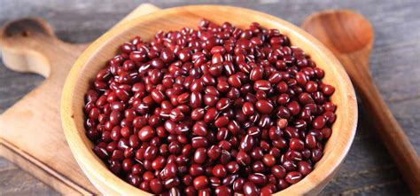 Kacang