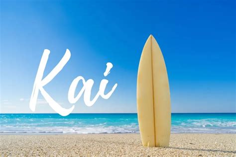 Hawaiian Words in English: Common Terms and Their Meanings • 7ESL