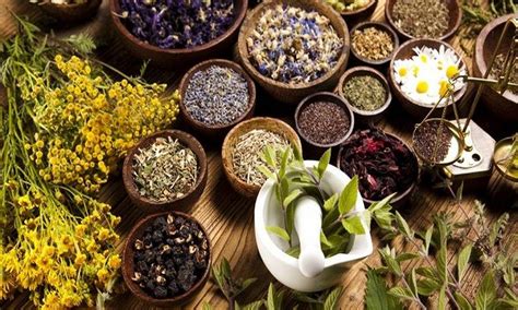 Kajian dampak pemanfaatan tanaman obat herbal di Indonesia