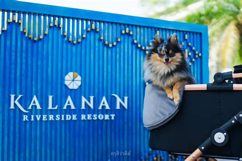 Kalanan Riverside Resort recommendations