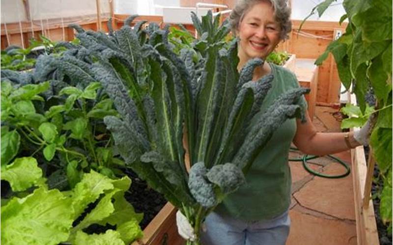 can i grow kale with aquaponics