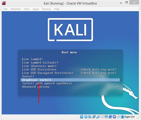 Kali Linux Install Guide