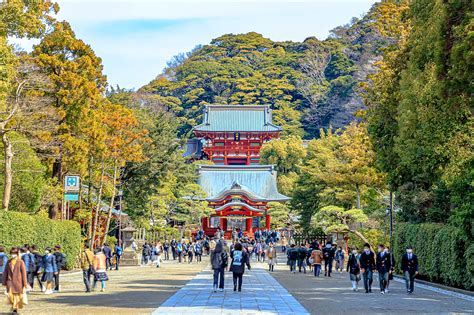 Kamakura Tour Considerations