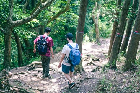 Kamakura Walking Tour