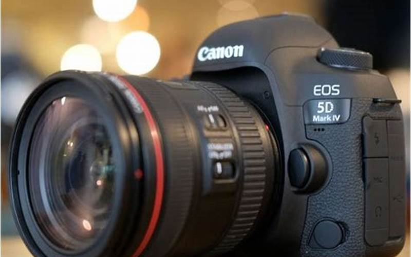 Kamera Canon 3100: Membuat Lebih Impresif Hasil Foto Anda