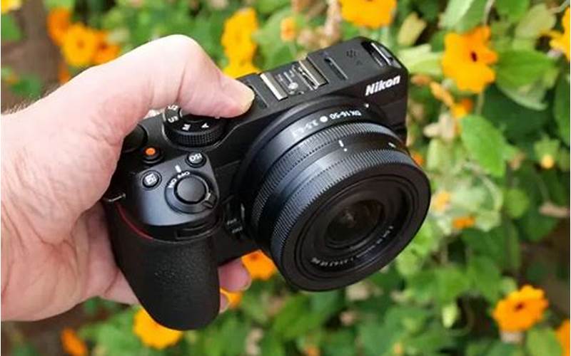 Kamera Canon Mirrorless: Pilihan Terbaik Untuk Fotografi Profesional
