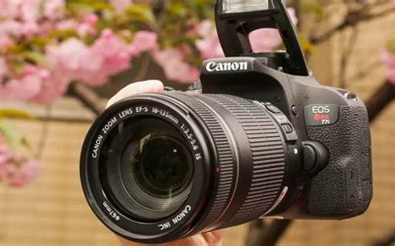 Kamera Kecil Canon: Pilihan Terbaik Untuk Fotografi