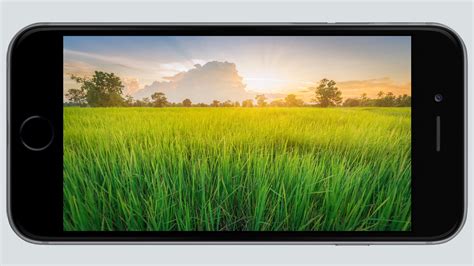 Kamera Autofocus Apk