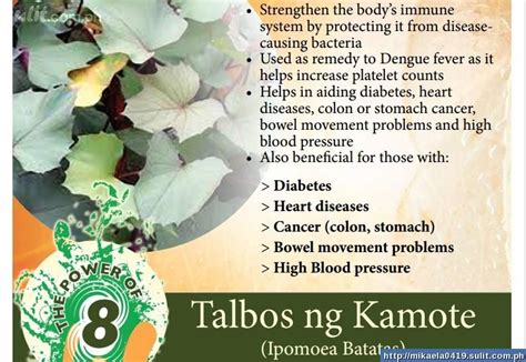 Nutrisyon