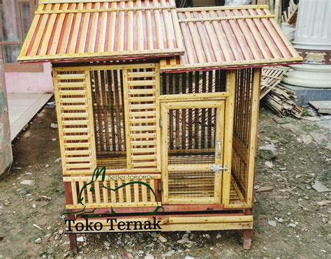Kandang Ayam Hias di Indonesia