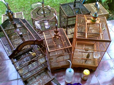 Kandang Burung Kenari Indonesia