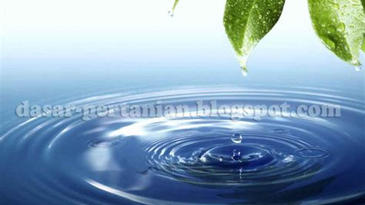 Kandungan Air, Tanaman