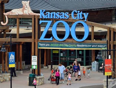 Experience the Wonders of Wildlife at Kansas City Zoo: A Journey into Nature's Heart!