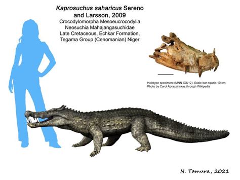 Comparison with Other Prehistoric Creatures