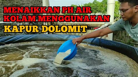 Kapur Dolomit untuk Kolam Ikan di Indonesia