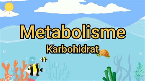 Karbohidrat Pada Ikan Patin