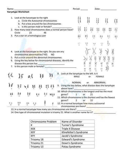 Karyotype Worksheet Biology