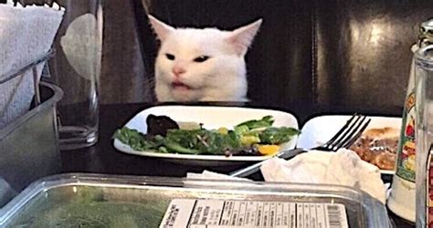 Kate Hudson White Cat Meme