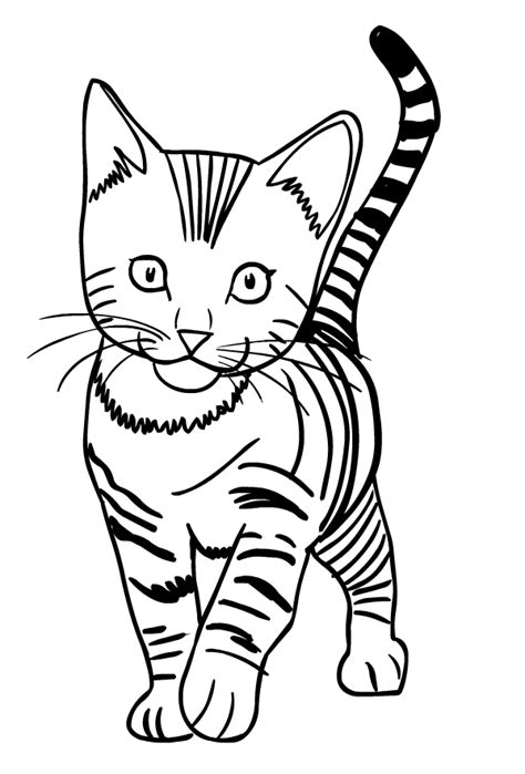 Katzen Ausmalbilder zum ausdrucken kostenlos Malbuch Online kaufen