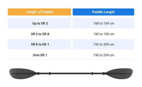 Understanding Paddle Size for Kayaks