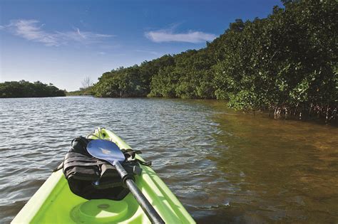 Kayak tour operators