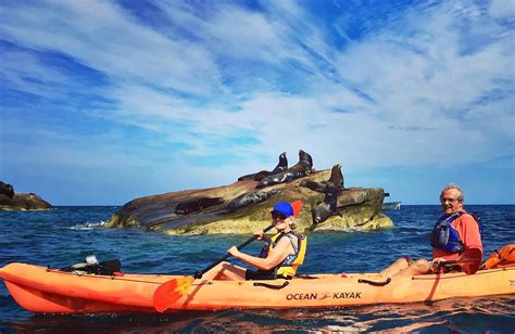 Kayaking Adventures Cabo Pulmo