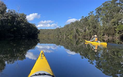 Kayaking Clyde River