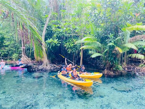 Kayaking Klong Root