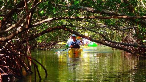 Kayaking Zanzibar