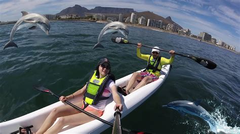 Kayaking with Dolphins