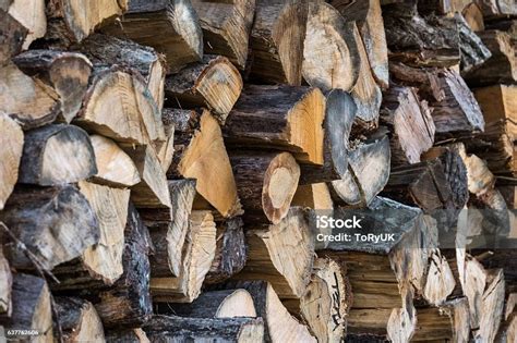 Cara Membakar Kayu Bakar yang Benar untuk Hasil yang Lezat dan Berkualitas Tinggi