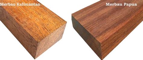 Kayu Besi Papua