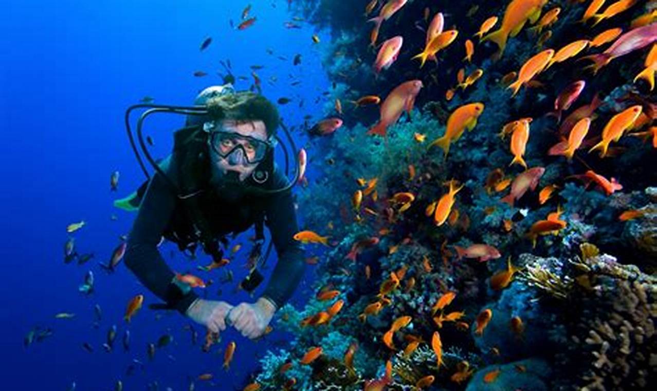Keajaiban Alam Bawah Laut: 7 Spot Snorkeling dan Diving yang Memikat di Indonesia!