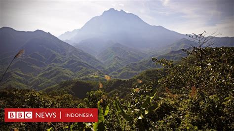 Keanekaragaman Hayati Gunung Kinabalu