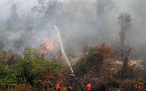 Kebakaran Hutan: Sebuah Ancaman Serius bagi Bumi