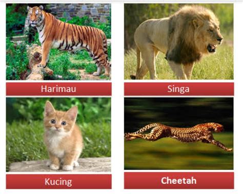 Keberagaman Spesies