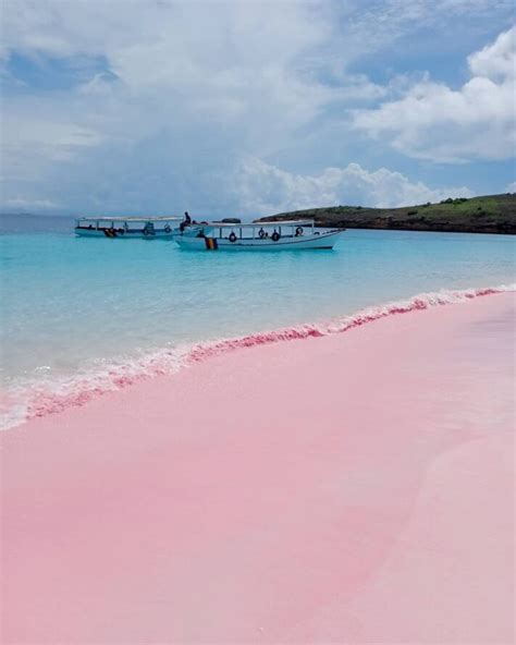 Kebersihan Pantai Pink Lambu
