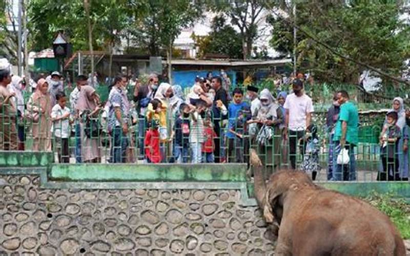 Kebun Binatang Kinantan: Wisata Edukasi Dan Rekreasi