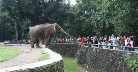 Kebun Binatang Bogor