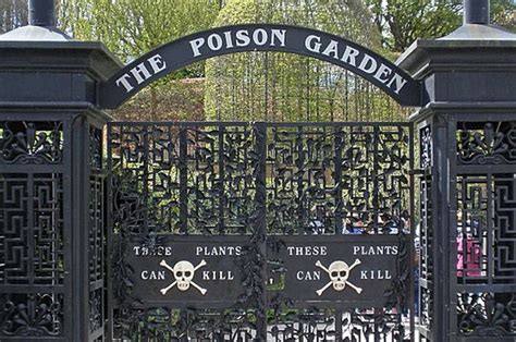 Kebun Racun Alnwick