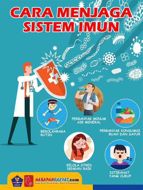 Kedelai dan sistem imun