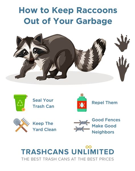 Keeping Animals Out of Trash